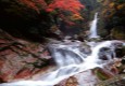 笹の滝（日本の滝百選）