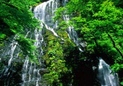 龍双の滝（日本の滝百選）