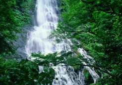 天滝（日本の滝百選）